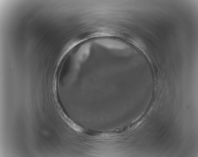 X0000062151179200512161226