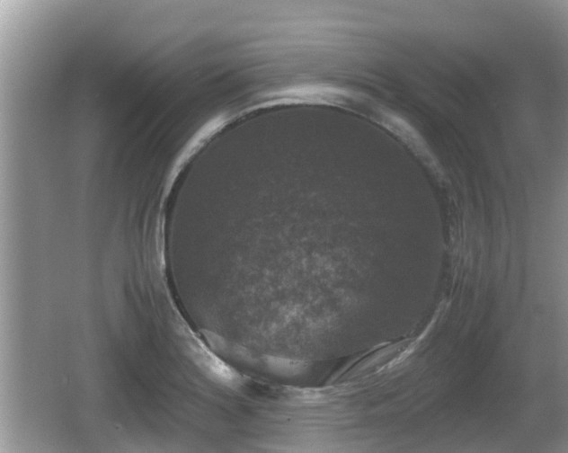 X0000062151180200512161226