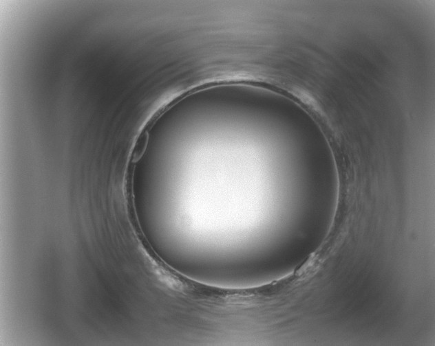 X0000062151181200512161226