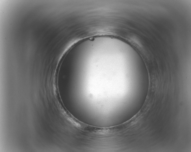 X0000062151182200512161226