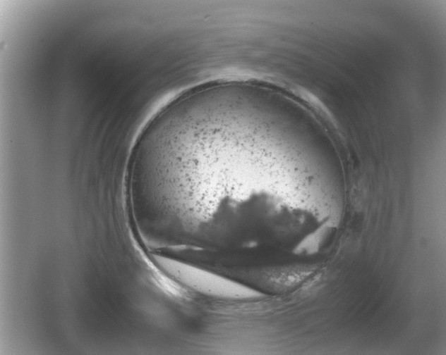 X0000062151183200512161226