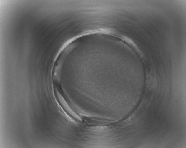 X0000062151184200512161226