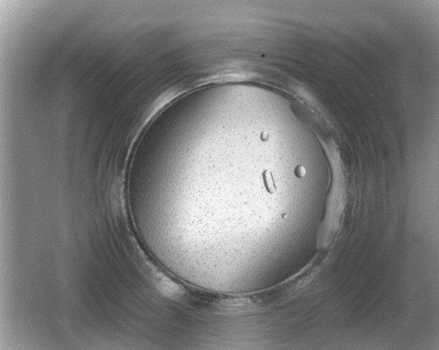 X0000062151186200512161226