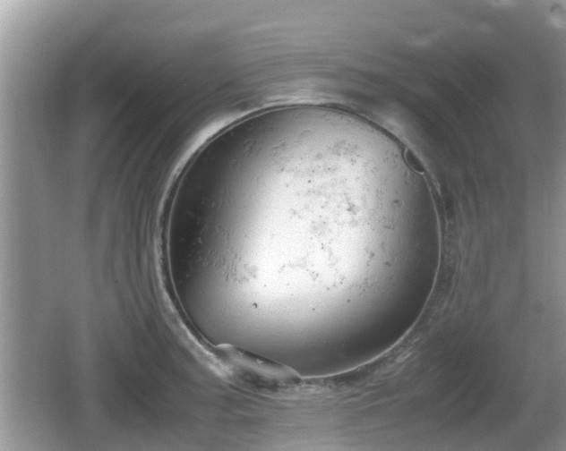 X0000062151187200512161226