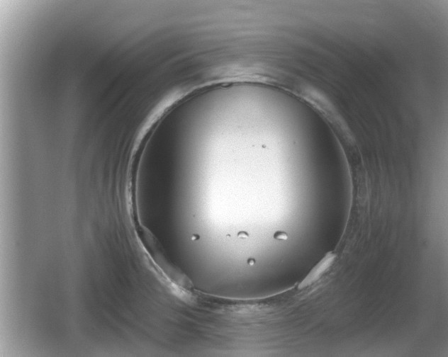 X0000062151188200512161226