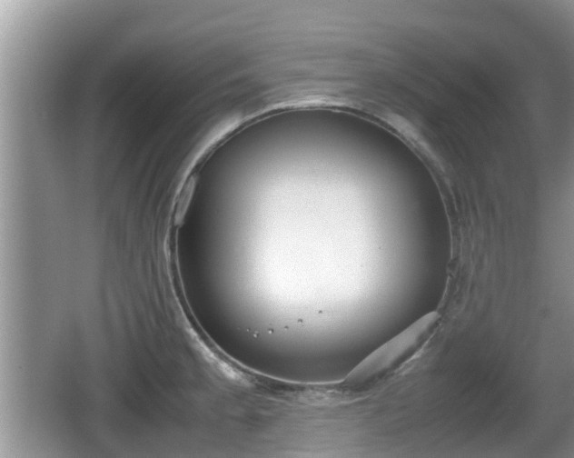 X0000062151189200512161226