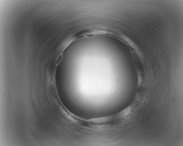 X0000062151193200512161226