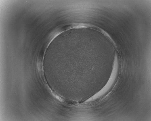 X0000062151194200512161226