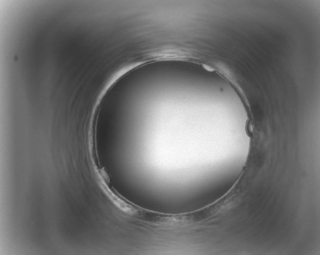 X0000062151195200512161226