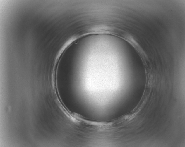 X0000062151196200512161226