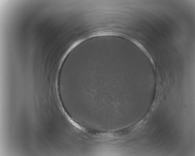 X0000062151197200512161226