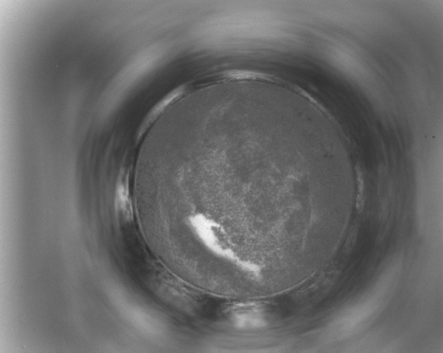 X0000062151198200512161226