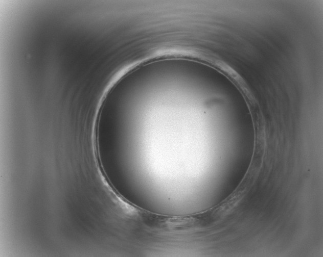 X0000062151199200512161226