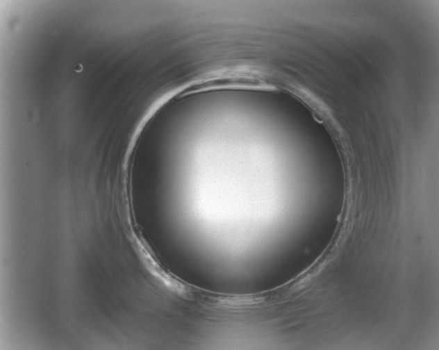 X0000062151200200512161226