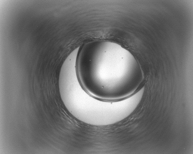 X0000062151202200512161225