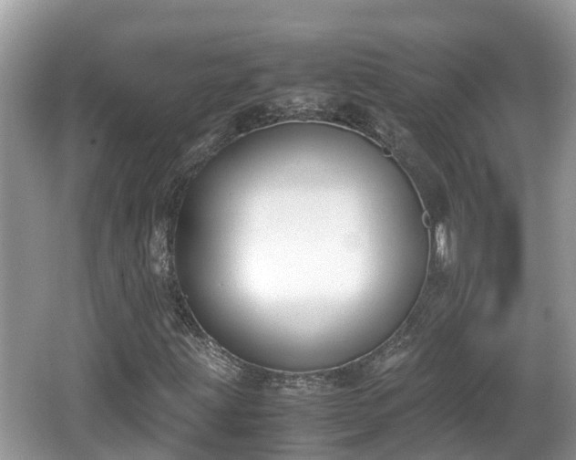 X0000062151203200512161225