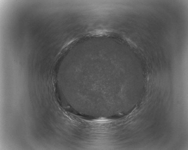 X0000062151206200512161225