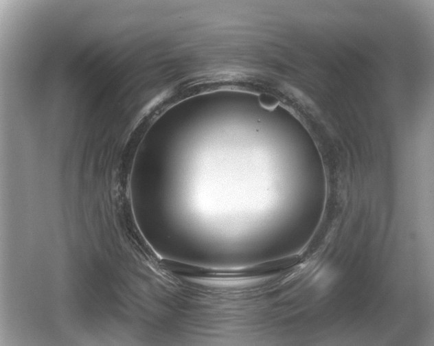 X0000062151210200512161225