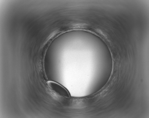 X0000062151211200512161225