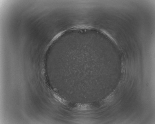 X0000062151213200512161225