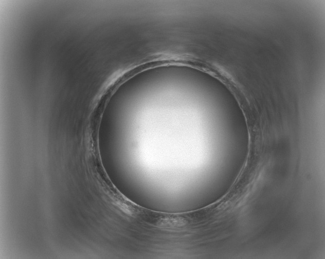 X0000062151215200512161225