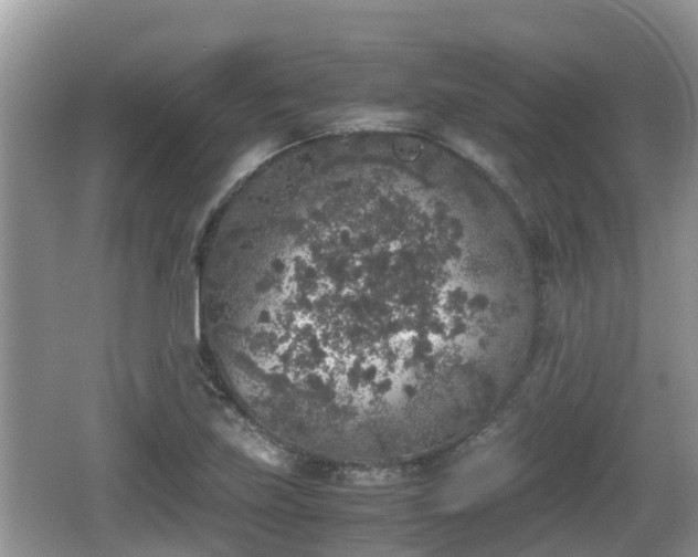 X0000062151219200512161225