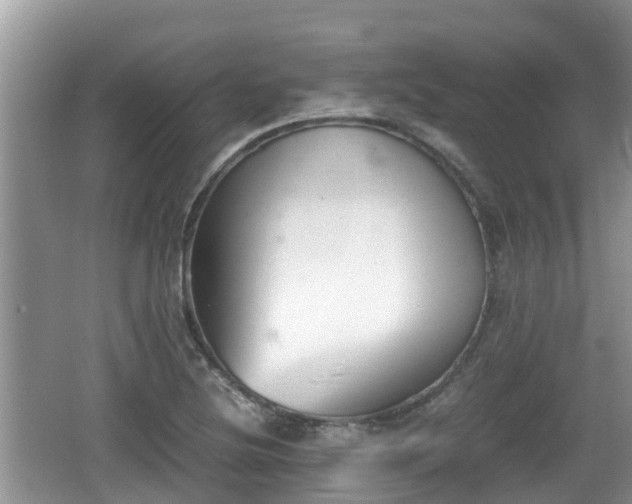 X0000062151220200512161225