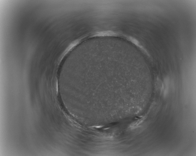 X0000062151221200512161225