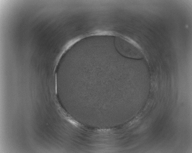 X0000062151223200512161225