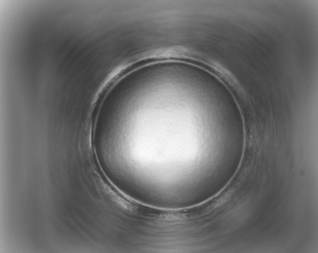 X0000062151224200512161225