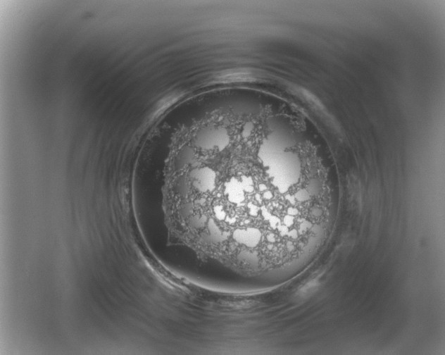 X0000062151225200512161225