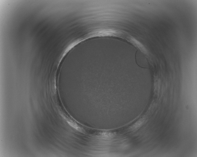 X0000062151226200512161225