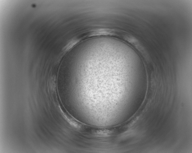 X0000062151233200512161225