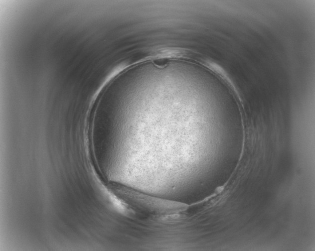 X0000062151235200512161226