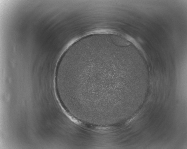 X0000062151237200512161226