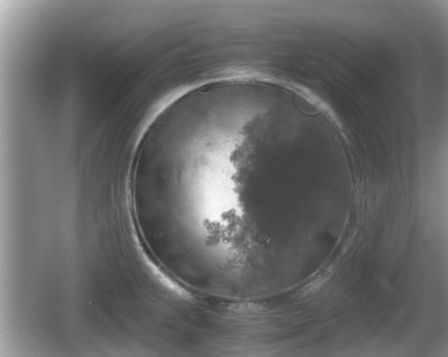 X0000062151239200512161226