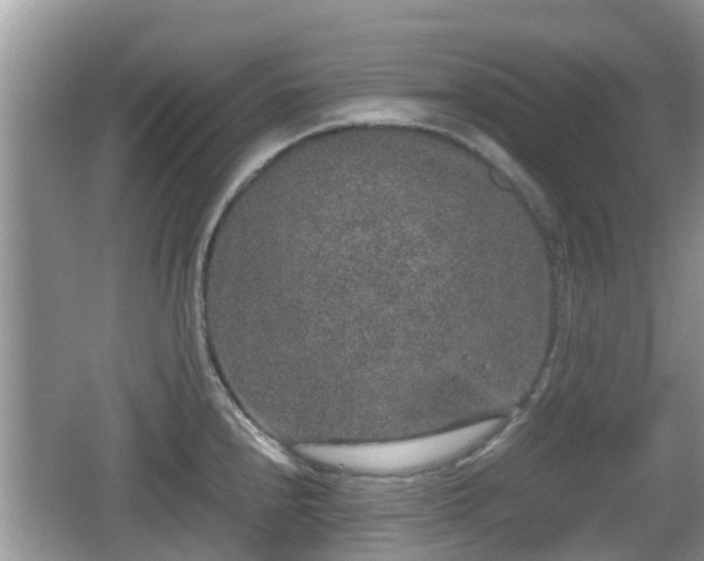 X0000062151240200512161226