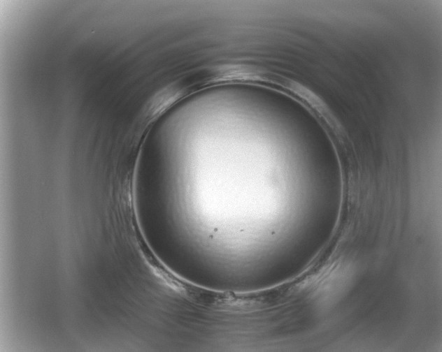 X0000062151241200512161226