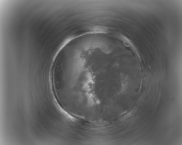 X0000062151243200512161226