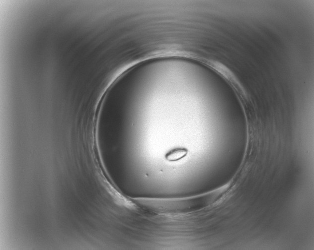 X0000062151244200512161226