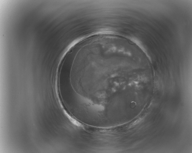 X0000062151245200512161226