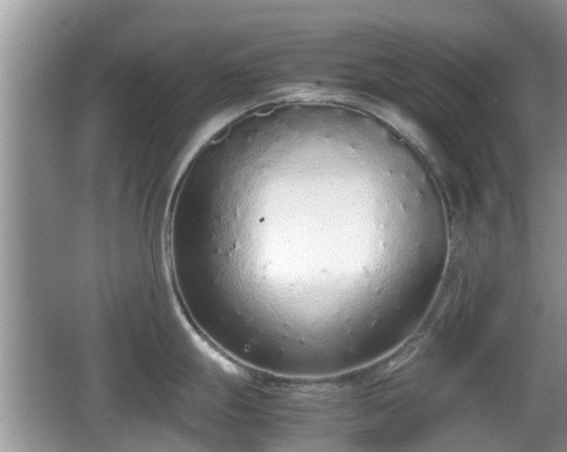 X0000062151247200512161226