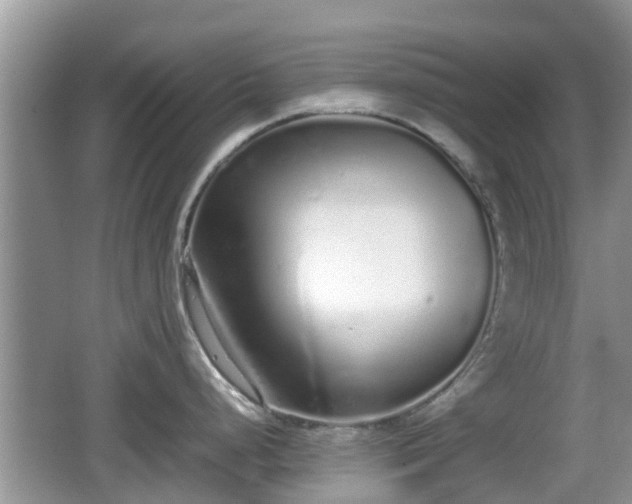 X0000062151248200512161226