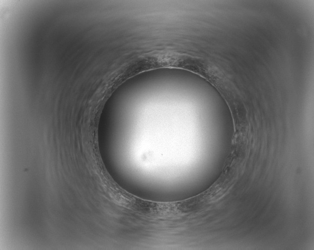 X0000062151249200512161225