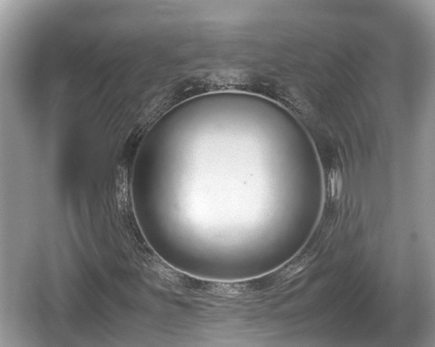 X0000062151251200512161225