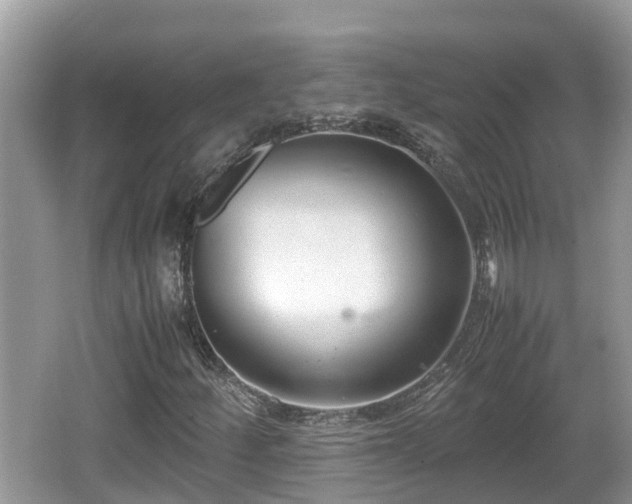 X0000062151252200512161225