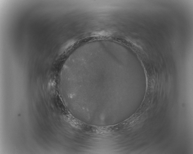 X0000062151254200512161225