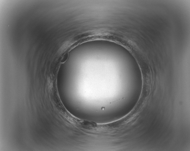 X0000062151257200512161225