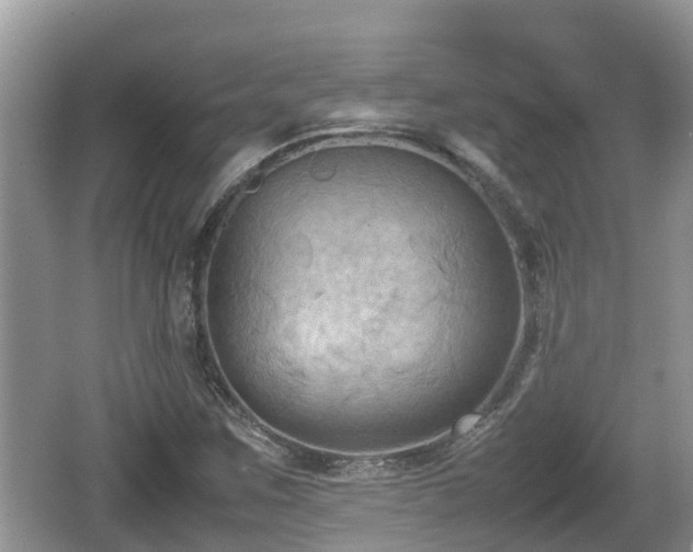 X0000062151259200512161225