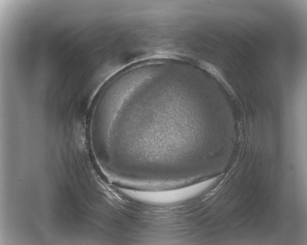 X0000062151260200512161225